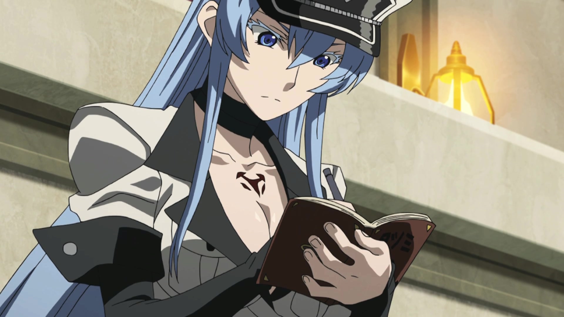 Image Esdeaths love book for Tatsumi.jpg Akame Ga Kill! Wiki