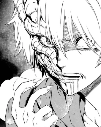 Tatsumi Akame Ga Kill Wiki Fandom