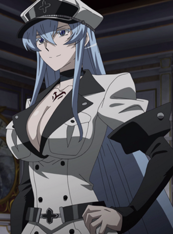 https://vignette.wikia.nocookie.net/akamegakill/images/c/cc/Esdeath_perfil.png/revision/latest/scale-to-width-down/340?cb=20150321220733&amp;path-prefix=ru