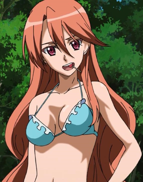 Image - Chelsea in a bikini.jpg | Akame Ga Kill! Wiki ...