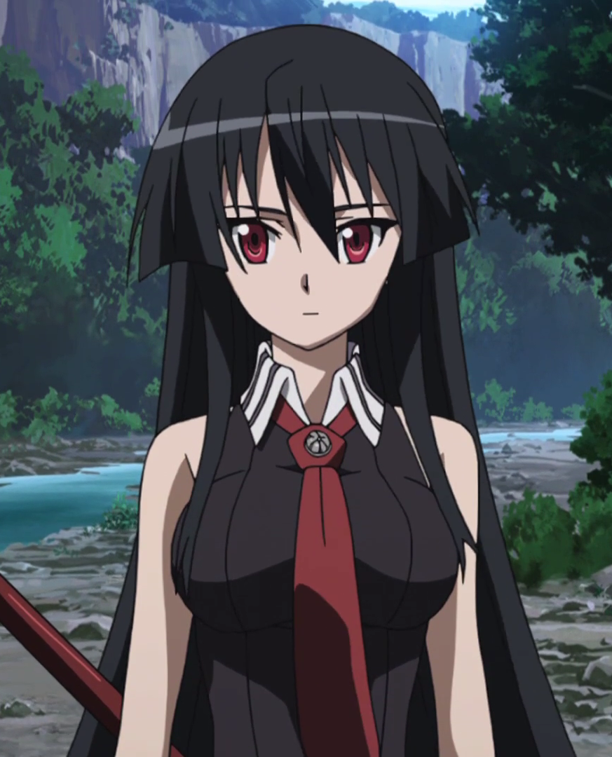 Résultat de recherche d'images pour "akame ga kill Akame"