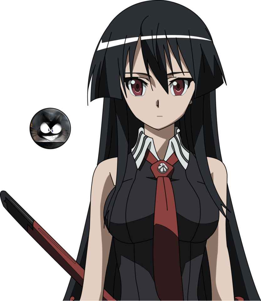 Image Akame by bestbtd8zw5xb (1).png Akame Ga Kill! Fanon Wiki