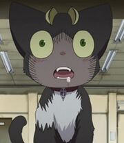 Nekuma Invocación