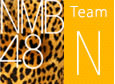 NMB48 TeamN