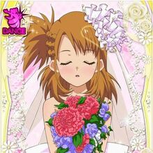 Hikari Kimishima Akb0048 Wiki Fandom Hikari Kimishima Akb0048 Wiki Fandom