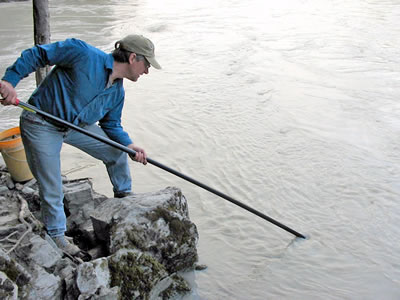 Dipnetting
