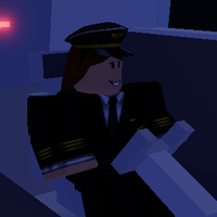 Flamingo Roblox Airplane 3