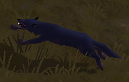 AO Wolf Sprint