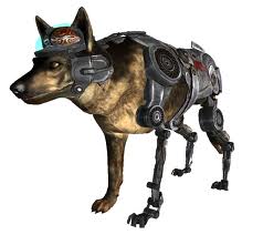 Rexy Boy