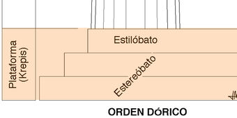 Crepidoma