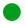 Vasallo