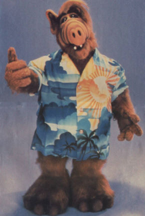 alf alf wiki fandom powered by wikia alf alien life form