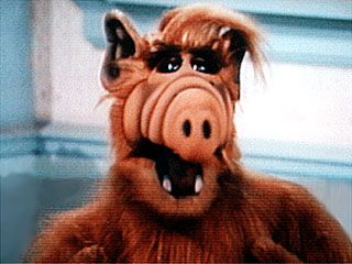 alf alf wiki fandom powered by wikia alf alien life form