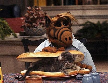 Image result for alf the alien eating cats