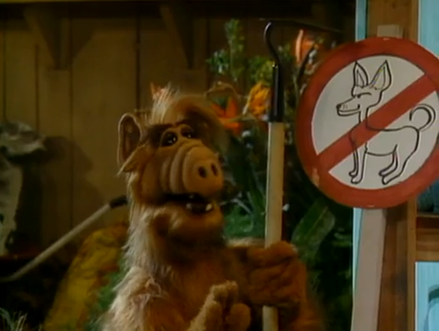Bob Barker ALF Wiki FANDOM powered by Wikia