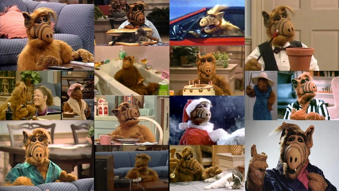 Wikia ALF FANDOM powered by Wikia