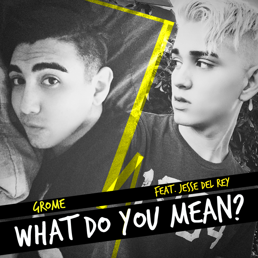 Image - WDYM Single Cover.png | AlfredRecords Wiki | FANDOM powered by