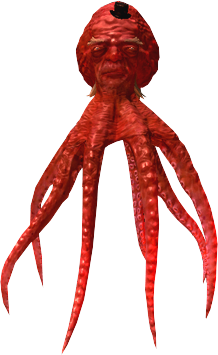 Octopus