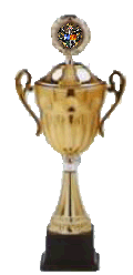 Domkubok