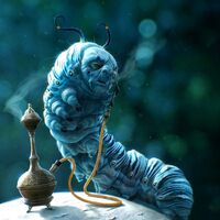 Absolem Alice In Wonderland Wiki Fandom