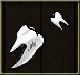 Teeth