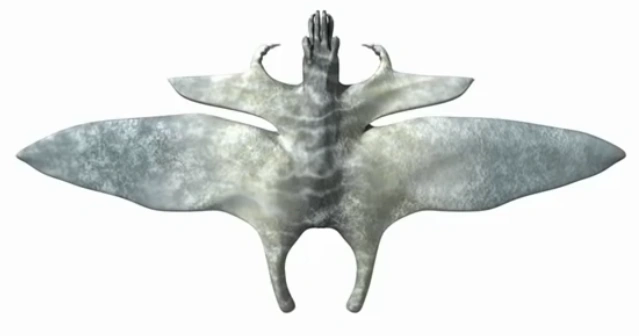 Sphenoptera Alien Biospheres Biblaridion Wiki Fandom