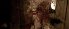 David's death