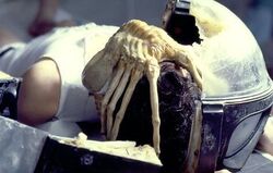 Facehuggeronkane