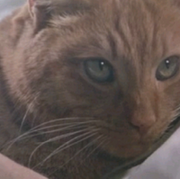 Jonesy Alien Anthology Wiki Fandom