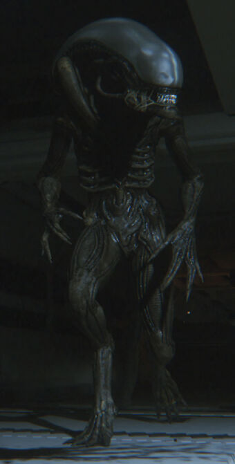 Alien Xenomorph Wiki