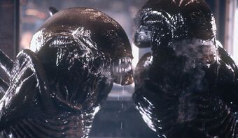 Alien Resurrection Cloned Xenomorph