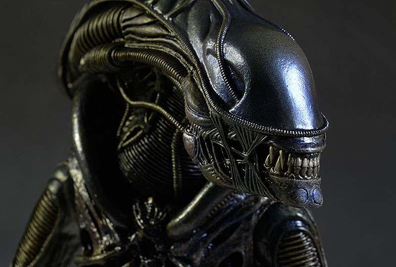 xenomorph warrior