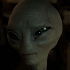 Paul Alien Wiki Fandom