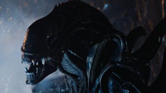 alien xenomorph warrior