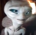 Paul1