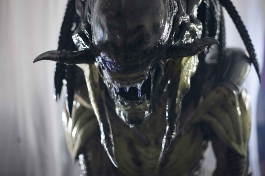 predalien chet alien wiki fandom powered by wikia