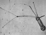 Betty Hill star map