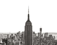 EmpireStateBuild