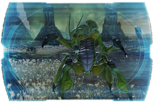 Colicoid TOR Codex