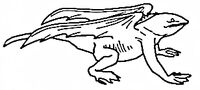 Da'nor Flying Lizard Full