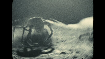 Alien (Apollo 18) | Alien Species | Fandom