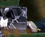 Hey! Pikmin dung beetle
