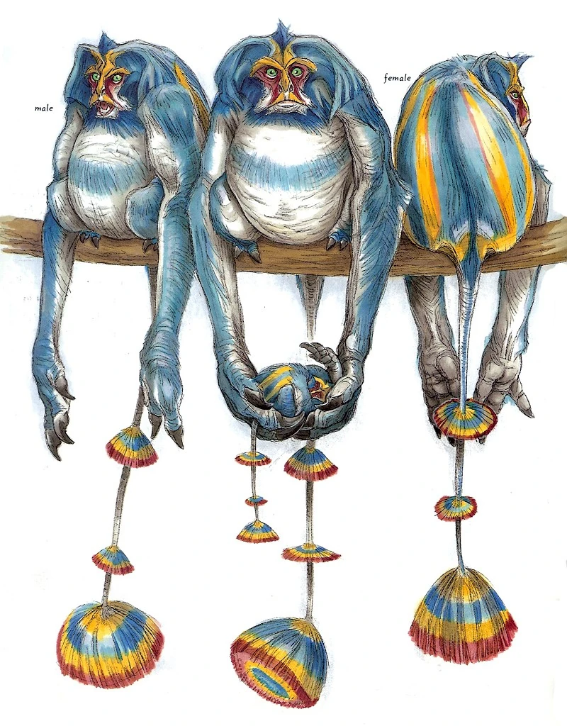 Woolamander Alien Species FANDOM powered by Wikia