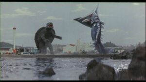 Gamera clashes once again with Zigra.