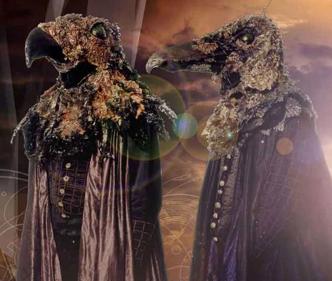 pakoo build and play