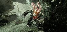 Ceph Stalker