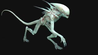 Neomorph Artwork