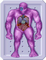 Mutonautopsy