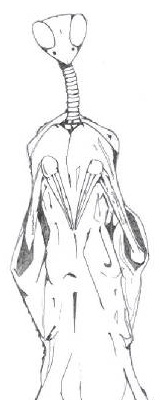 MantisAlien