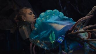 Cortex Jellyfish